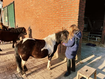 Yihaa! Meidenweekend op een paardencamping.